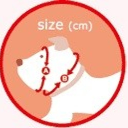 Kagami Mochi (Mizuhiki) Dog Zura [XS 尺寸] 第3張的照片