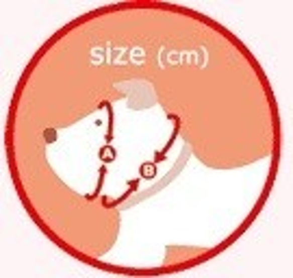 鏡もち(水引)犬ヅラ【Ｌサイズ】or【LLサイズ】 3枚目の画像