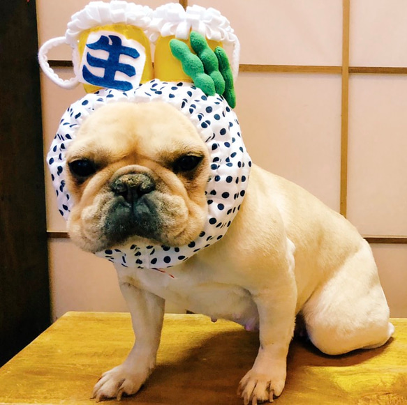 ☆さちこさん専用ページ☆オーダーメイド生ビール犬ヅラ ペット服 