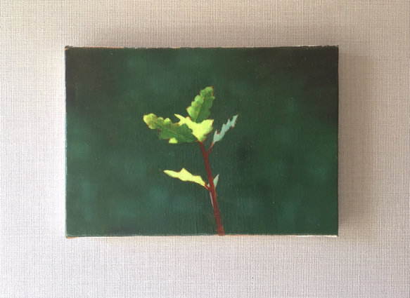 芽吹き 1枚目の画像