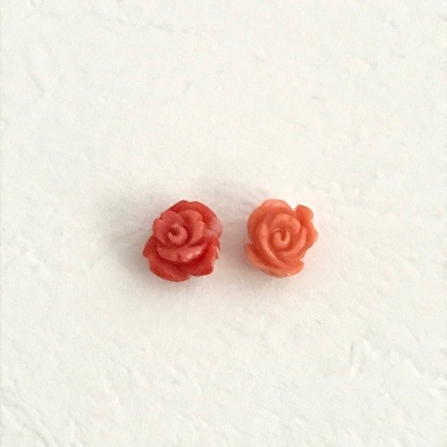 珊瑚片穴2個セット