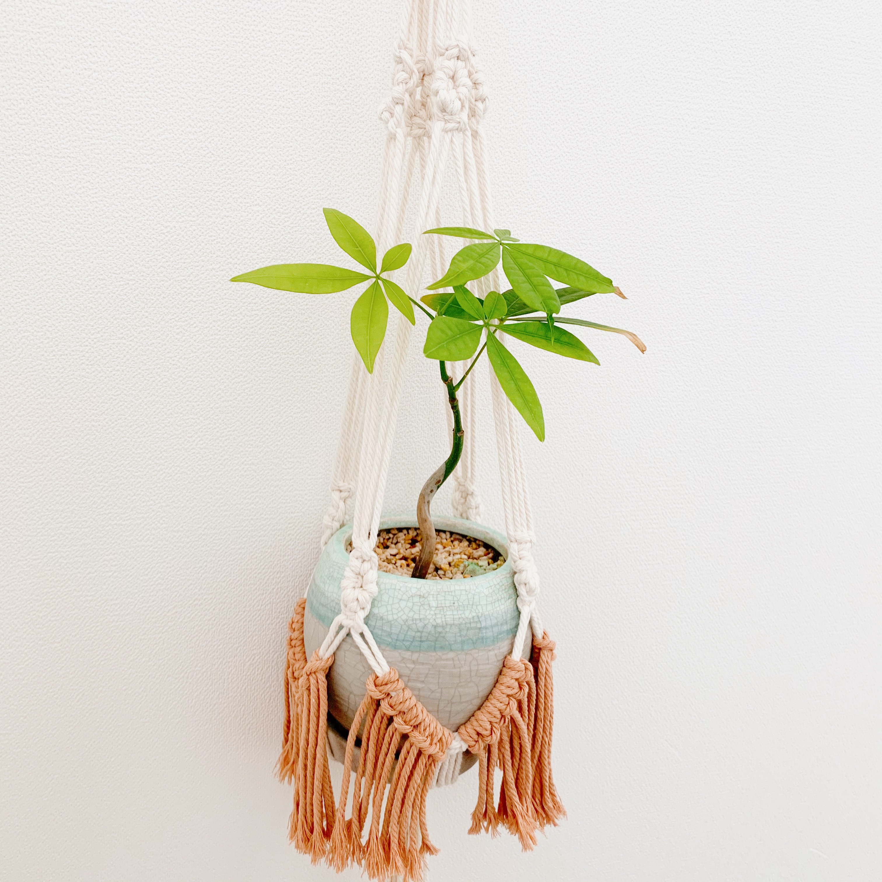 マクラメプラントハンガー2本セット(B) 福々しい 