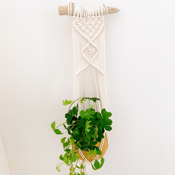 流木☆プランツハンガー 【公式通販】