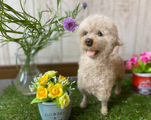 0_0fc74723fcdcdf3ce4e66b7a5de7