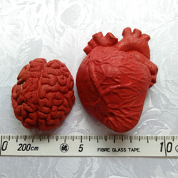 心臓　脳　オブジェ　セット 2枚目の画像