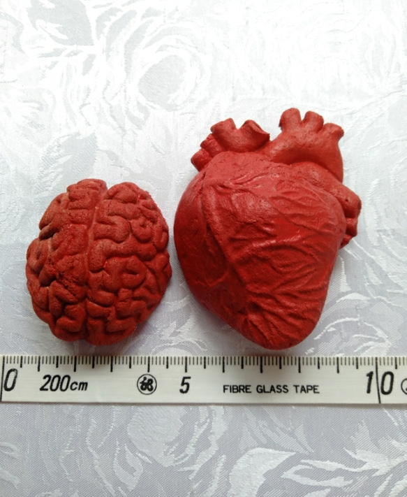 心臓　脳　オブジェ　セット 2枚目の画像