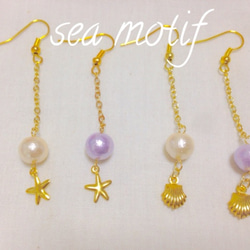 sea motif cotton perl pierce 貝 ヒトデ コットンパール 1枚目の画像