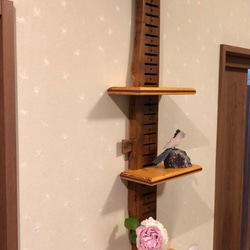 Wall-mounted shelf　飾り棚　;古民具インテリア　No.WS -5 3枚目の画像