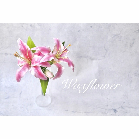 ﾜｯｸｽﾌﾗﾜｰ(ロウの花)ゆり【ユリ】 アートフラワー WAXFLOWER AKEMI 通販 