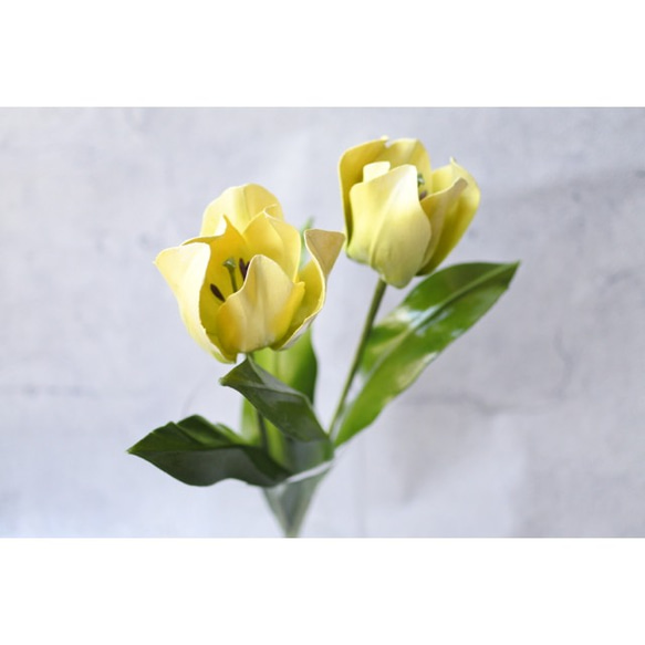 ﾜｯｸｽﾌﾗﾜｰ(ロウの花)黄色のチューリップ 4枚目の画像