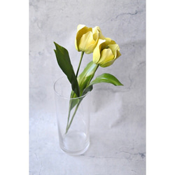 ﾜｯｸｽﾌﾗﾜｰ(ロウの花)黄色のチューリップ 5枚目の画像