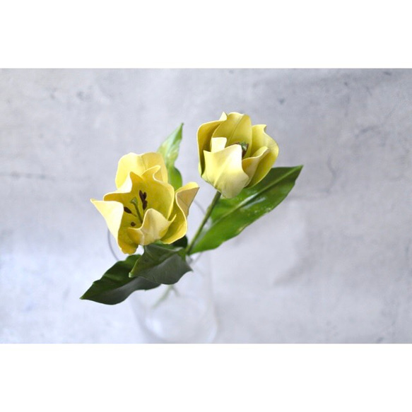 ﾜｯｸｽﾌﾗﾜｰ(ロウの花)黄色のチューリップ 6枚目の画像