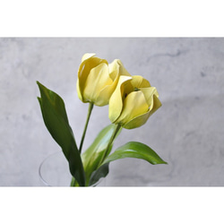 ﾜｯｸｽﾌﾗﾜｰ(ロウの花)黄色のチューリップ 8枚目の画像