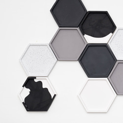 Hexagon Art Tray【C】 2枚目の画像