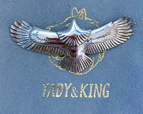 正規品 タディアンドキング TADY&KING 全銀中イーグルSV ペンダント