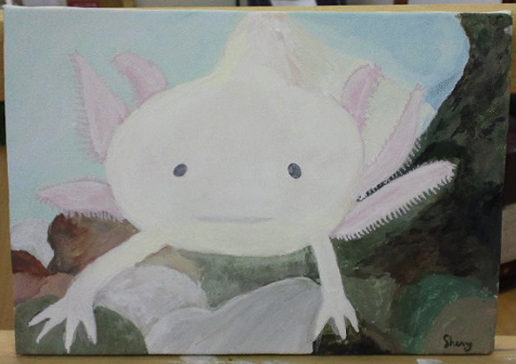 ウーパールーパー 原画 アート 現代アート 絵画 画家 パステルカラー 魚 ウーパールーパー 原画 アート 現代アート 絵画 画家 パステル