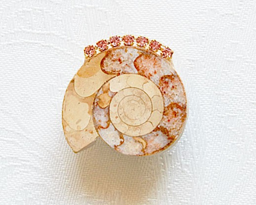 小物１ アンモナイト化石 686d74378610dc294fe8576034d92e