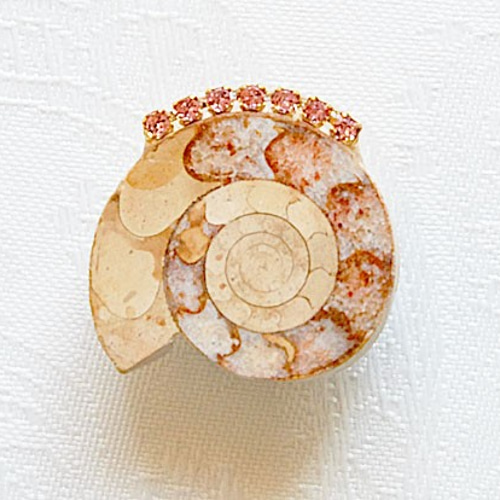 アンモナイト化石 多色装飾品 約5cm アンモナイト化石 多色装飾品 約5cm