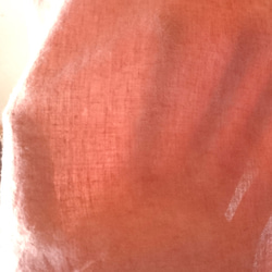 枯れないつる性植物の手描きべんがら染めトップス/ボタニカルアート/茜 8枚目の画像