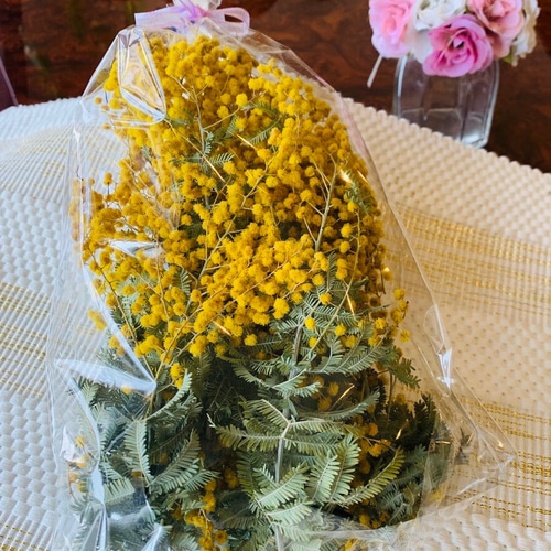 ミモザ ドライフラワー ドライフラワー BLOOM colon 通販 ミモザ ドライフラワー ドライフラワー BLOOM colon 通販