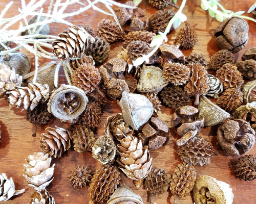 0_dcc57963f59eb25ef1839bbf1517