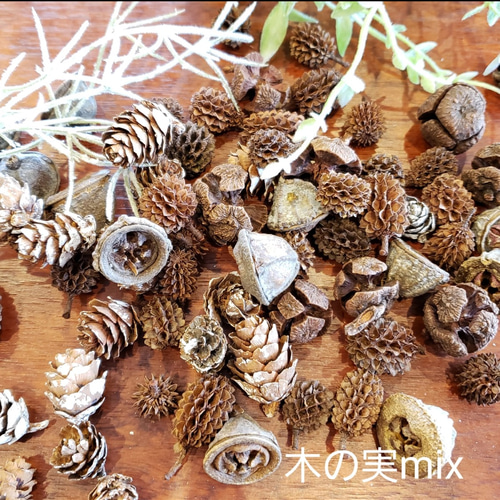 松ぼっくり 木の実 秋冬花材（送料無料） アートフラワー BLOOM colon
