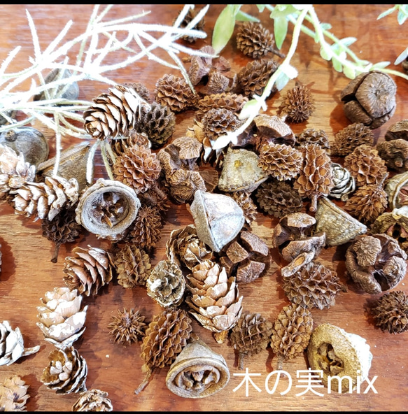 松ぼっくり 木の実 秋冬花材（送料無料） アートフラワー BLOOM colon