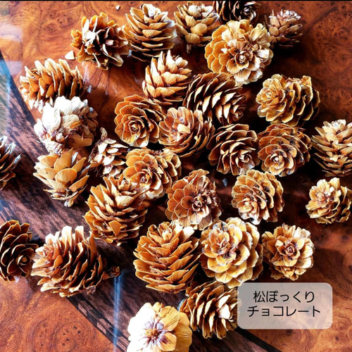 松ぼっくり 木の実 秋冬花材（送料無料） アートフラワー BLOOM colon