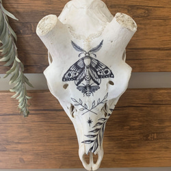 スカル　装飾　オリジナルハンドメイド　アートオブジェ　鹿骨　ヘッドスカル スカル 装飾 オリジナルハンドメイド アートオブジェ 鹿骨 ヘッド