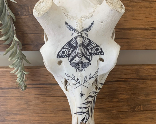 スカル　装飾　オリジナルハンドメイド　アートオブジェ　鹿骨　ヘッドスカル スカル 装飾 オリジナルハンドメイド アートオブジェ 鹿骨 ヘッド