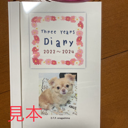 厚紙使用(裏写り軽減)追加 1ページ3日タイプ オプション その他