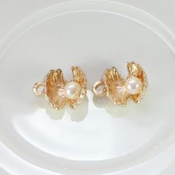 【再販】15*14ｍｍ ゴールド真珠貝 チャーム  6個セット 2枚目の画像