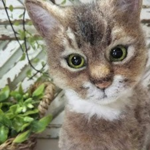 受注制作】世界にひとつのうちの子制作 羊毛フェルトねこ（全身