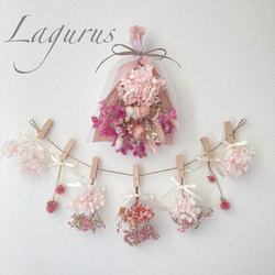 creema限定】ガーランドとスワッグのセット ピンク ドライフラワー  