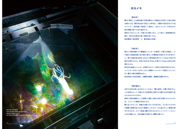 ZINE「Blue」《深海の虹》DVD 付き 5枚目の画像