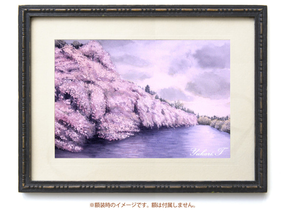 原画】満開の桜（水彩画/額無し）☆絵画 しだれ桜 花見 インテリア