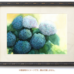 【真作】絵画　作者不詳　水彩　紫陽花　逸品　Q19 透明水彩画 紫陽花（あじさい）F10サイズ 額縁付 原画 新築