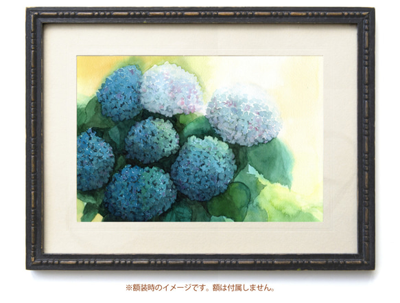 原画】紫陽花の季節（水彩画額無し）☆花 上品 絵画インテリア