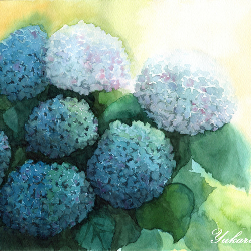 41×53㎝「紫陽花」P10・原画・油彩画 Amazon.co.jp: 377＊紫陽花とイギリス館 水彩画 原画 透明水彩