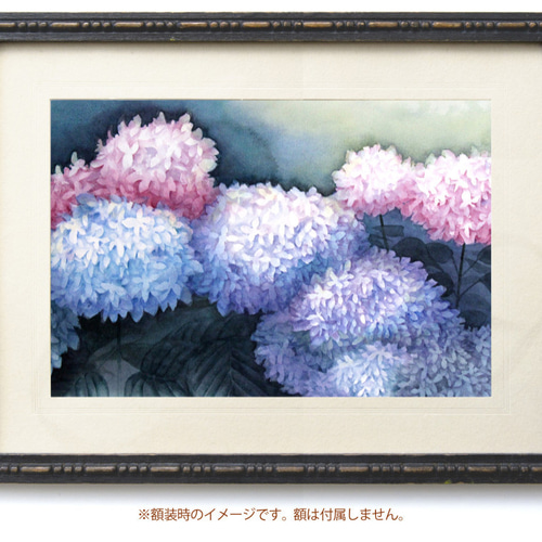 原画】6月の紫陽花（水彩画/額無し）☆花 絵画インテリア