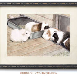 【原画】モルモットの井戸端会議（水彩画額無し）★送料無料 動物 絵画インテリア プレゼントに 1枚目の画像