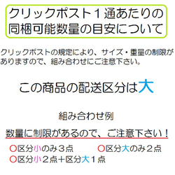 反射レッスンバッグ　ギャラクシー・宇宙飛行士　【入園入学】 4枚目の画像