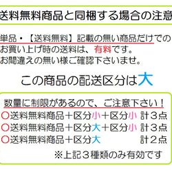 受注生産　反射レッスンバッグ　プリマドンナ　スワン　【入園入学】 3枚目の画像