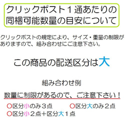 反射レッスンバッグ　チェック・グレー　【入園入学】 4枚目の画像