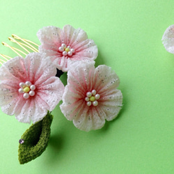 ふんわり桜の満開コーム 1枚目の画像