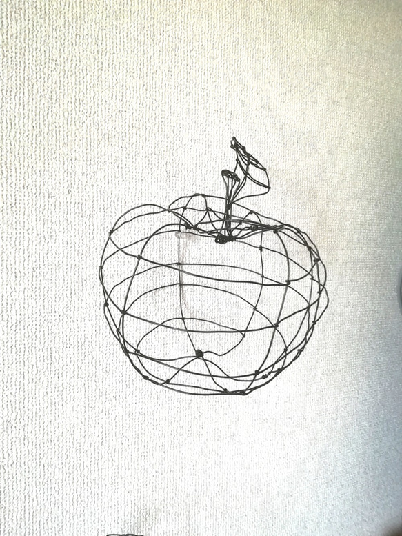 フルーツ（林檎）3Dワイヤーアート その他アート JUN 通販 11546813