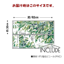 688 ウォールステッカー トロピカルプランツ グリーン リーフ アジアン カラーリーフ 4枚目の画像