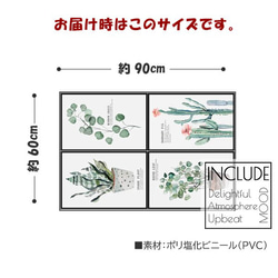 651 ウォールステッカー ウォールシール だまし額縁 フェイクフレーム 多肉植物 サンセベリア 十二の巻 アロエ 4枚目の画像