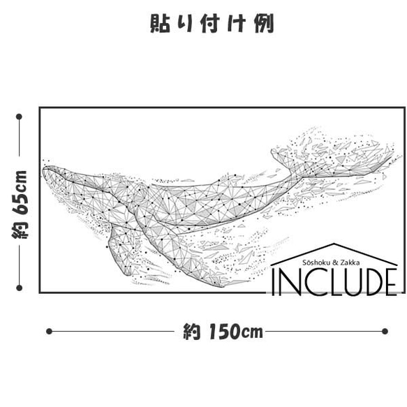  第3張的照片