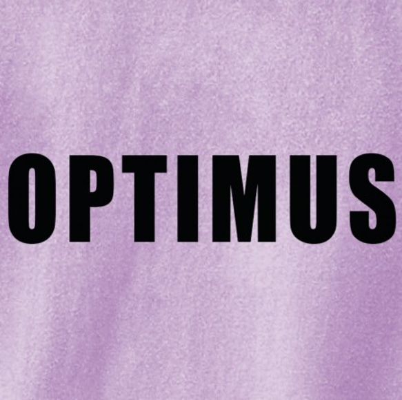 送料無料【OPTIMUS】メンズバッグプリントTシャツ　002 4枚目の画像